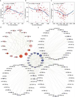 Transcription Factors and Methylation Drive Prognostic miRNA Dysregulation in Hepatocellular Carcinoma